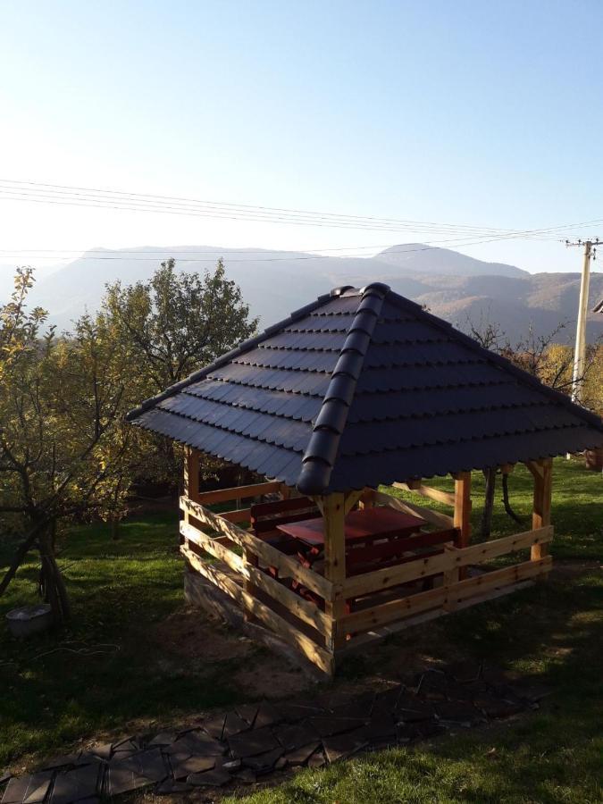 Seoska Kuca Rakic - Tara Brvnara Rastiste