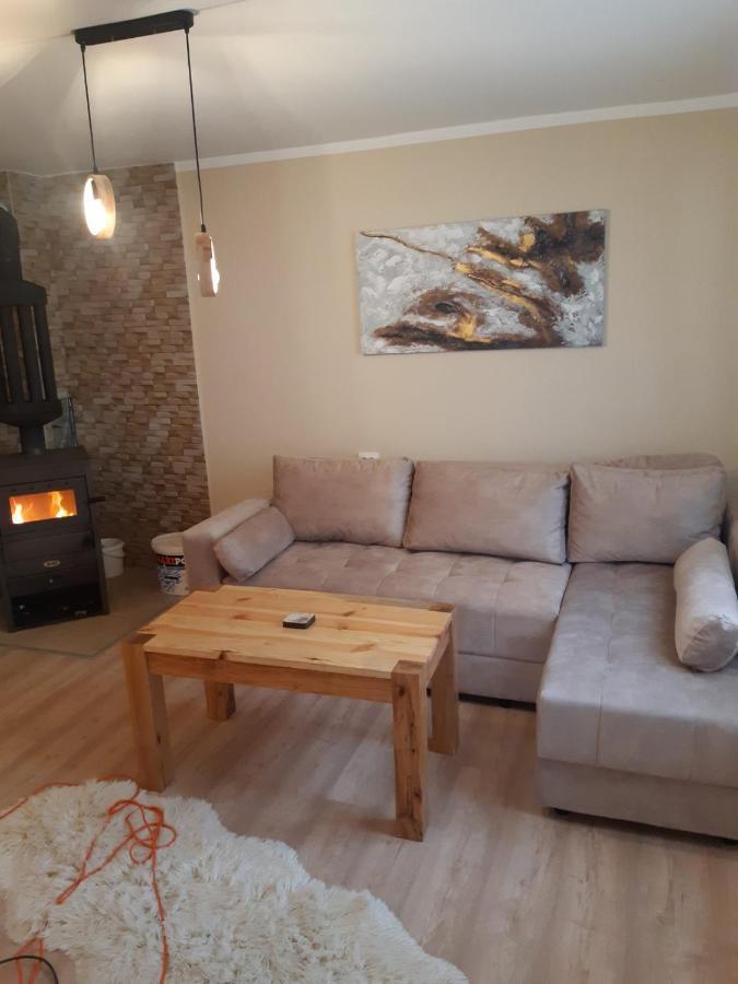 Seoska Kuca Rakic - Tara Chalet