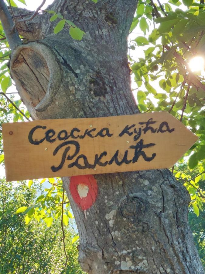 Seoska Kuca Rakic - Tara Brvnara *