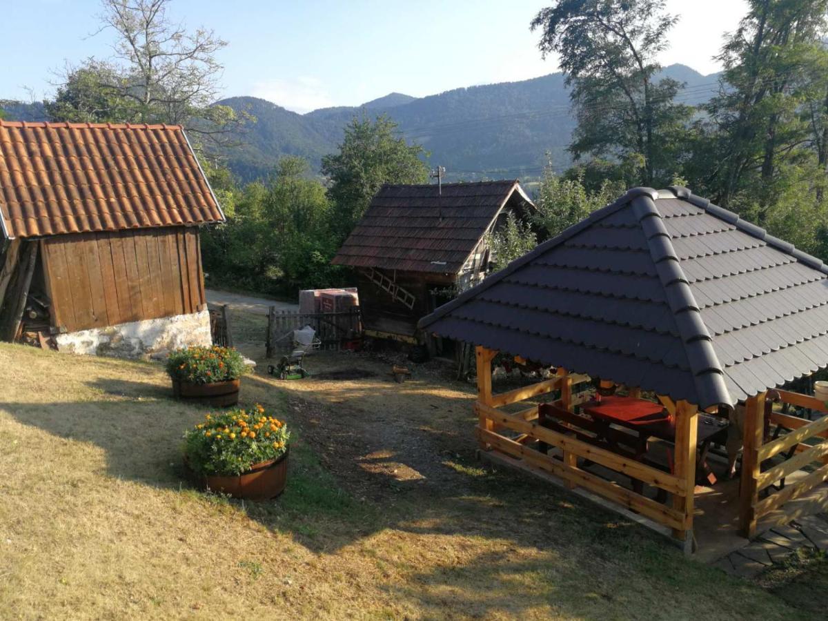 Seoska Kuca Rakic - Tara Chalet Rastiste