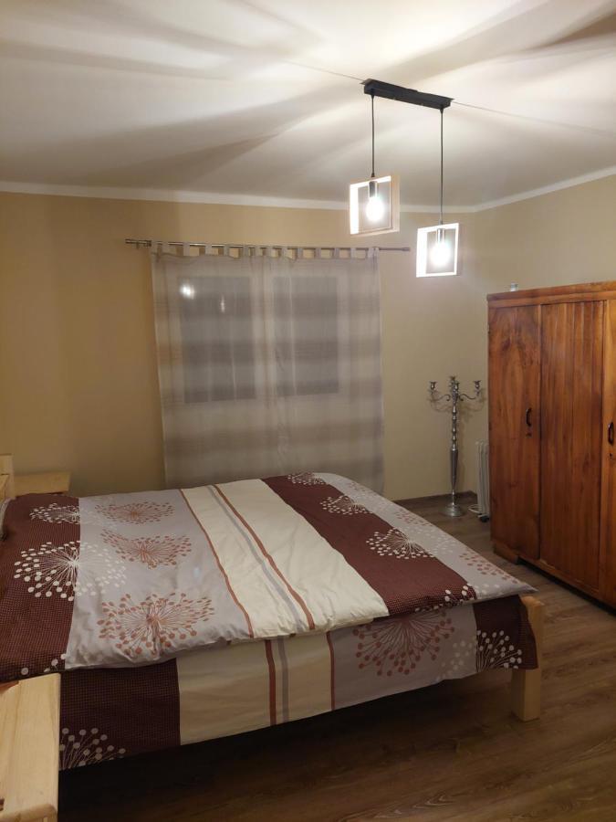 Seoska Kuca Rakic - Tara Chalet Rastiste