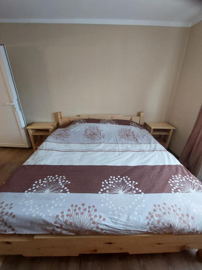 Seoska Kuca Rakic - Tara Brvnara