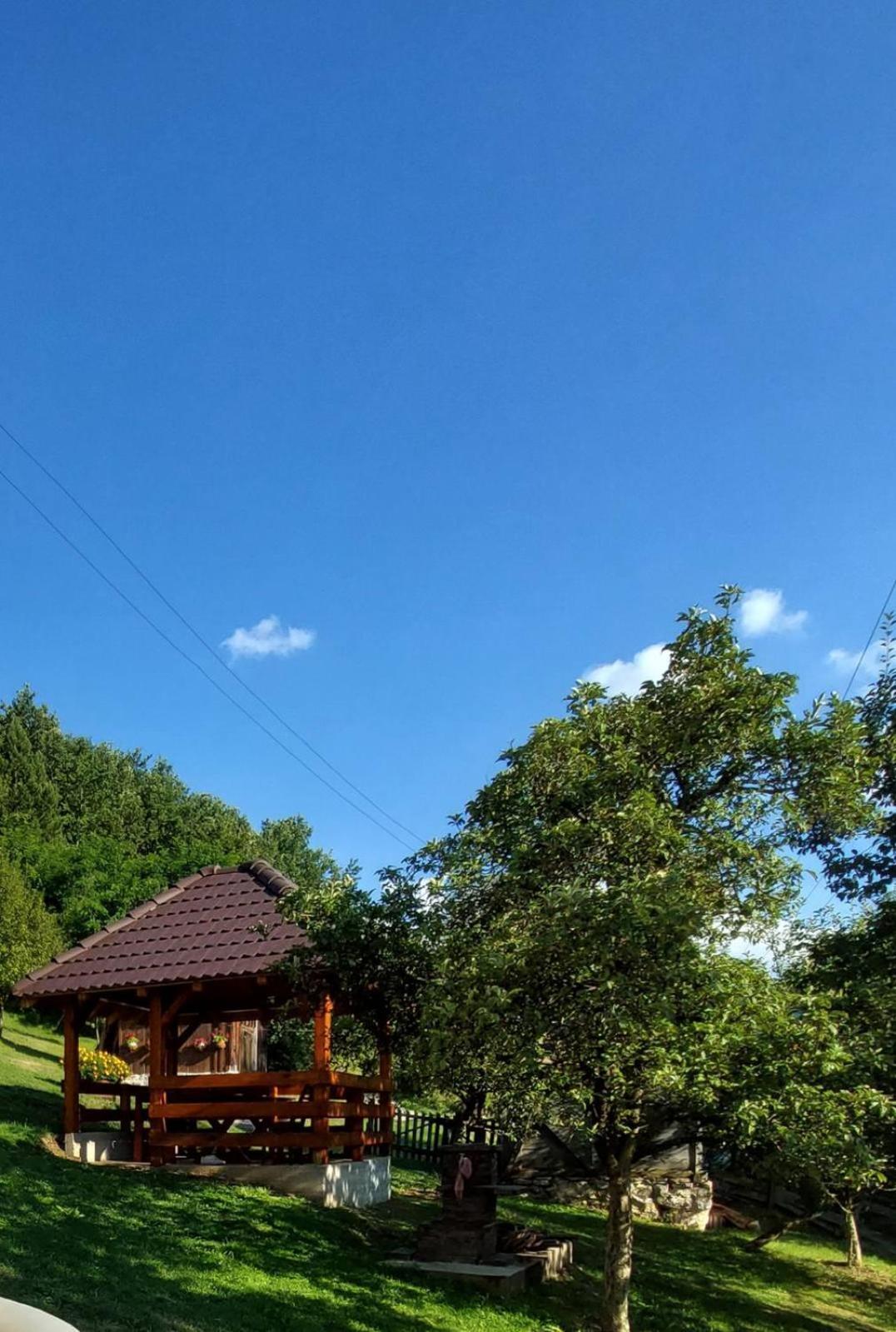 Brvnara Seoska Kuca Rakic - Tara